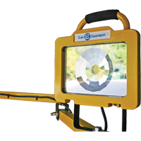 Heavy-Duty Dock Light, 40" Arm, 38 W, LED Lamp, Metal Les Distributions ICE