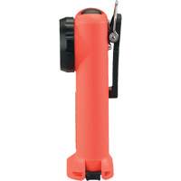 Lampe de poche Survivor, DEL, Piles Rechargeable/AA, Polym&egrave;re de nylon Les Distributions ICE