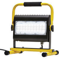 Flood Light, LED, 50 W, 4800 Lumens, Aluminum Housing Les Distributions ICE