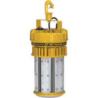 ProLight 360° Industrial Light Kit, LED, 120 W, 15000 Lumens, Plastic Housing Les Distributions ICE