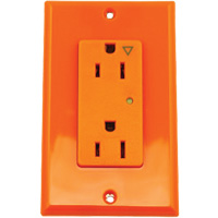 Prise isol&eacute;e avec protection contre les surcharges Decora Les Distributions ICE