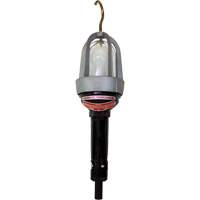 Baladeuses pour emplacements dangereux Les Distributions ICE