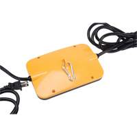 LED String Work Lights, 5 Lights, 50' L, Plastic Housing Les Distributions ICE