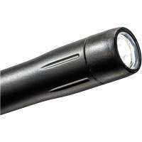 Lampe stylo, DEL, 139 lumens, Corps en Plastique, piles AAA, Compris Les Distributions ICE