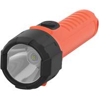Lampe de poche portative Intrinsically Safe, DEL, 150 lumens, Piles D Les Distributions ICE
