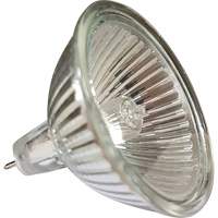 Replacement MR16 Bulb Les Distributions ICE