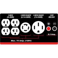 G&eacute;n&eacute;ratrice &agrave; essence/propane &agrave; d&eacute;marreur &eacute;lectrique Les Distributions ICE