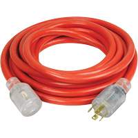 Generator Extension Cord with Quad Tap, Outdoor, 10 AWG, 30 A, 4 Outlet(s), 25' Les Distributions ICE