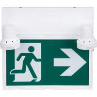 Enseigne d'homme qui court avec &eacute;clairage de s&eacute;curit&eacute;, DEL, &agrave; piles/&agrave; raccordement fixe, 12-1/10" lo x 11" la, Pictogramme Les Distributions ICE
