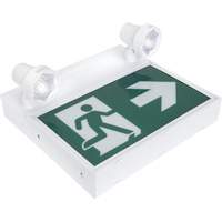 Enseigne d'homme qui court avec &eacute;clairage de s&eacute;curit&eacute;, DEL, &agrave; piles/&agrave; raccordement fixe, 12-1/10" lo x 11" la, Pictogramme Les Distributions ICE