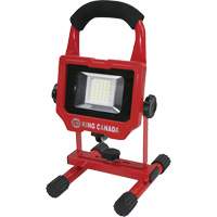 Work Light, LED, 15 W, 1500 Lumens, Aluminum Housing Les Distributions ICE