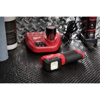 M12 Paint and Detailing Color Match Light, LED, 1000 Lumens Les Distributions ICE