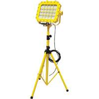 Diffuseur anti-d&eacute;flagration avec tr&eacute;pied, DEL, 40 W, 5600 lumens, Boîtier en Aluminium Les Distributions ICE