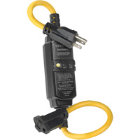 Ensemble DDFT &agrave; r&eacute;armement automatique et auto-test, 120 V, 15 A, Cordon de 2' Les Distributions ICE