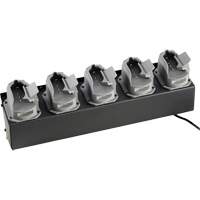 Chargeur de batteries de lampe de poche Survivor X Les Distributions ICE