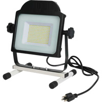 Projecteur, DEL, 100 W, 10000 lumens Les Distributions ICE
