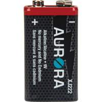 Industrial Alkaline Batteries, 9 V Les Distributions ICE