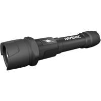 Virtually Indestructible Flashlight, LED, 350 Lumens, AA Batteries Les Distributions ICE