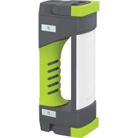 Baladeuse de la s&eacute;rie Pro, DEL, 1000 lumens Les Distributions ICE