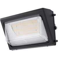 Luminaire mural, DEL, 120 -347 V, 80 W Les Distributions ICE