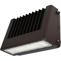 Luminaire mural, DEL, 120 V, 80 W, 6,5" ha x 9,3" la x 14,4" p Les Distributions ICE
