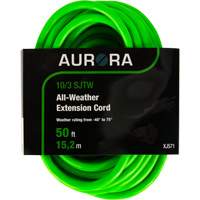 Industrial Extension Cord, All-Weather, SJTW, 10/3 AWG, 15 A, 50' Les Distributions ICE