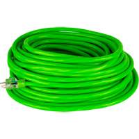 Industrial Extension Cord, All-Weather, SJTW, 10/3 AWG, 15 A, 50' Les Distributions ICE