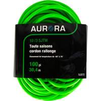 Industrial Extension Cord, All-Weather, SJTW, 10/3 AWG, 15 A, 100' Les Distributions ICE