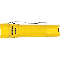 Lampe de poche PolyTac 1X, DEL, 350 lumens, Piles AA/CR123A Les Distributions ICE