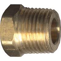 Hex Head Cored Plug, Pipe, 1/8" Dia., Brass Les Distributions ICE