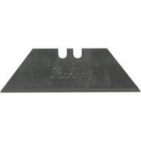 Replacement Blade, Single Style Les Distributions ICE